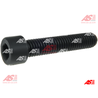 SRS9096S
Болт крiплення кришки стартера. do S9089