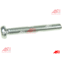 SRS9088S
Болт стартера IS 41.60xM5x0.8x380 SRS9088S
Болт стартера IS 41.60xM5x0.8x380