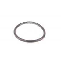 Кольцо рулевой рейки HOR0547