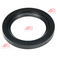 SRS0197S
Сальник стартера BO. CG131448