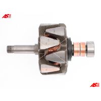 AR0003R
Демонтований ротор генератора BO 24V-55A CG133559 100x160.70 do CA550IR. 0120469920