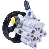 Насос гидроусилителя руля P1354