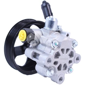 Насос гидроусилителя руля P1354