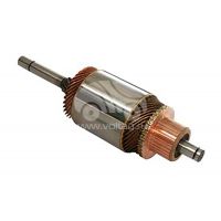 Ротор стартера SAN4946