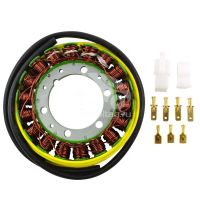 Статор генератора мото AFZ1062 Статор генератора мото AFZ1062