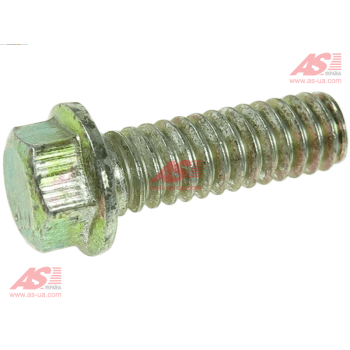 SRS1037S
Болт стартера DR. do S1002.S1143S