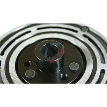 EK202 Пластина сцепления, срывная пластина SANDEN SD7H15/V16/6V12 SPLINE UniwersalneMocowanie: klin