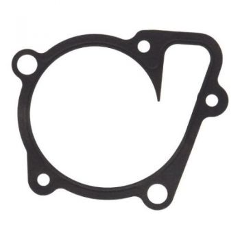GASKET-WATER PUMP 25124-2G500