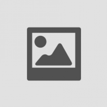 Eberspächer Heater element for hot water boiler. 800 Watt. 220 Volt ID0000010034