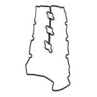 GASKET-ROCKER COVER,RH 22441-3C110