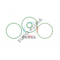 Ремкомплект компрессора DENSO 10PA20C EUROKLIMA EK2136  EK2136