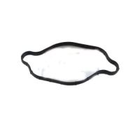 GASKET-FUEL PUMP 22442-2G700
