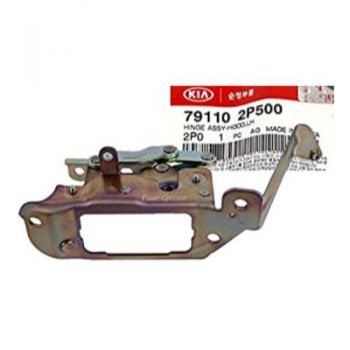 HINGE-HOOD,LH 79110-2P500