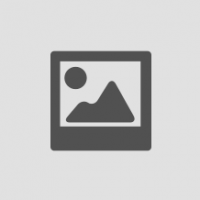 500130000012 500130000012