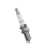 PLUG-SPARK, RC10YC4 18823-111012